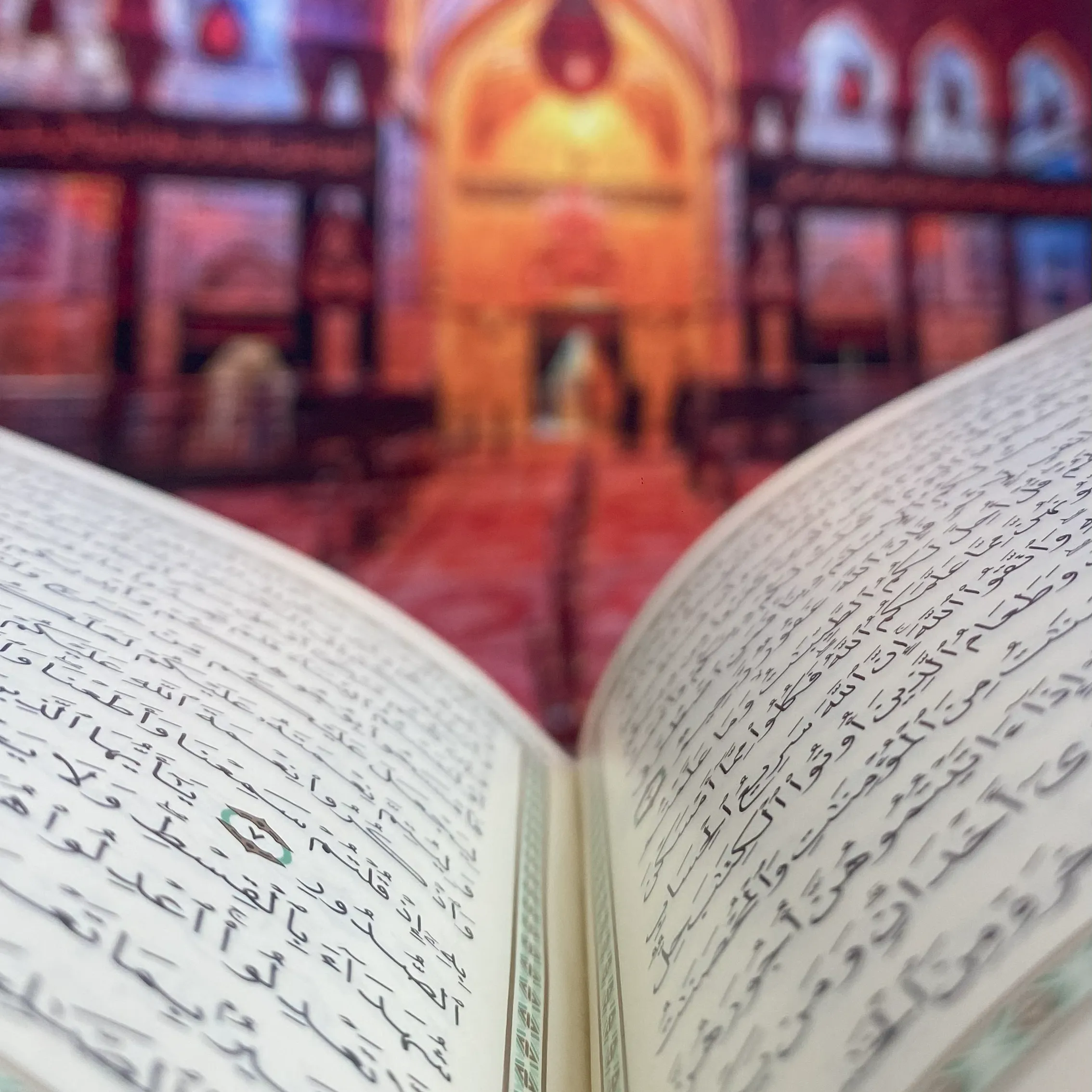 کارگاه تلبس